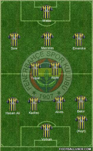 Fenerbahçe SK Formation 2013