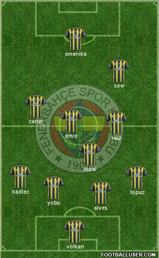 Fenerbahçe SK Formation 2013