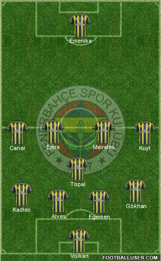 Fenerbahçe SK Formation 2013