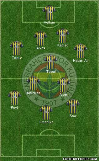 Fenerbahçe SK Formation 2013