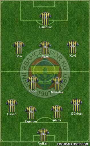 Fenerbahçe SK Formation 2013