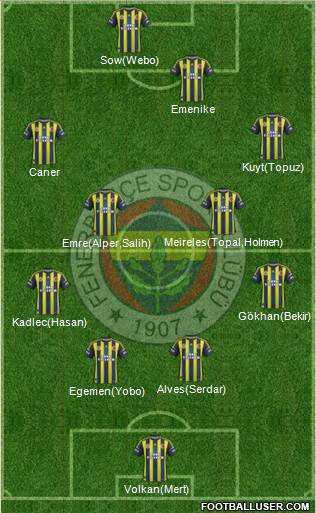 Fenerbahçe SK Formation 2013