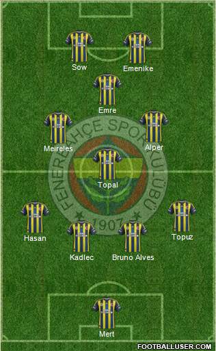 Fenerbahçe SK Formation 2013