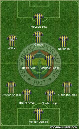 Fenerbahçe SK Formation 2013