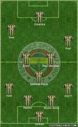 Fenerbahçe SK Formation 2013