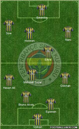 Fenerbahçe SK Formation 2013