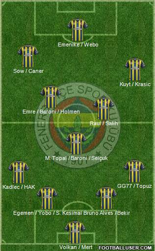 Fenerbahçe SK Formation 2013