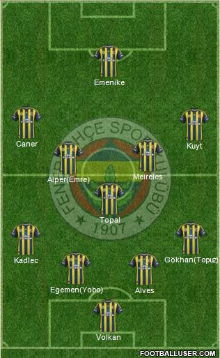 Fenerbahçe SK Formation 2013