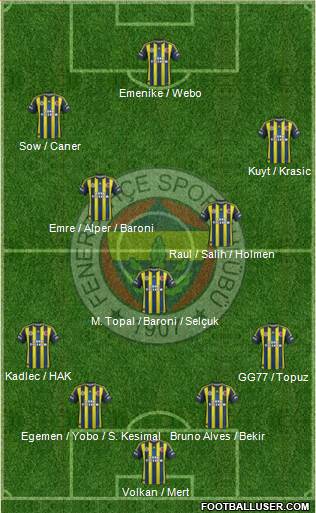 Fenerbahçe SK Formation 2013