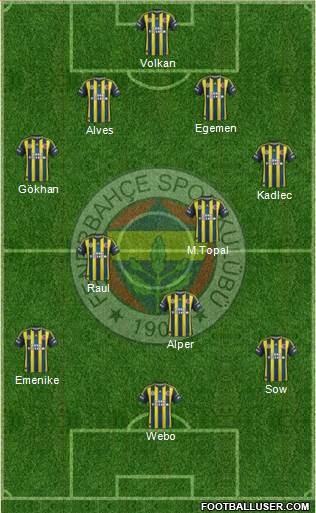 Fenerbahçe SK Formation 2013