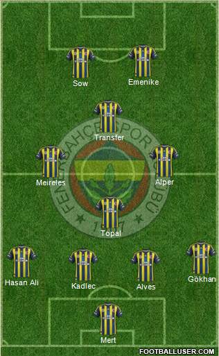 Fenerbahçe SK Formation 2013