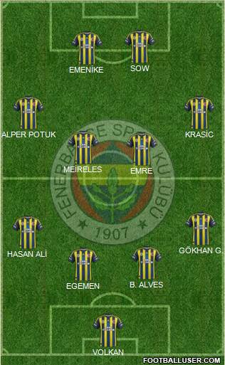 Fenerbahçe SK Formation 2013