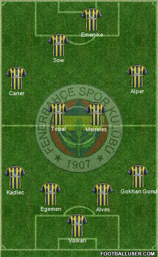 Fenerbahçe SK Formation 2013