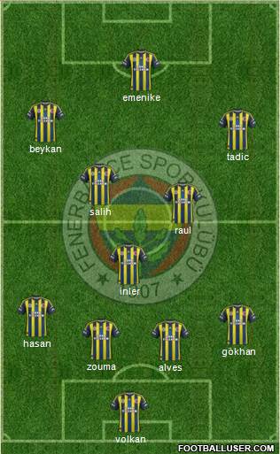 Fenerbahçe SK Formation 2013