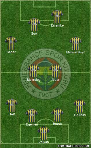 Fenerbahçe SK Formation 2013