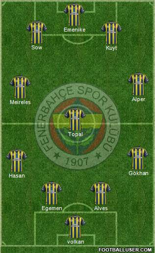 Fenerbahçe SK Formation 2013