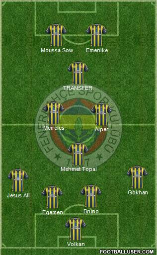 Fenerbahçe SK Formation 2013