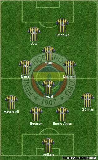 Fenerbahçe SK Formation 2013