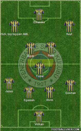 Fenerbahçe SK Formation 2013