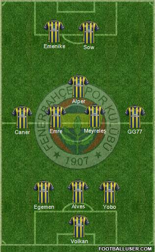 Fenerbahçe SK Formation 2013