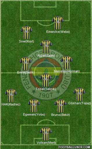 Fenerbahçe SK Formation 2013