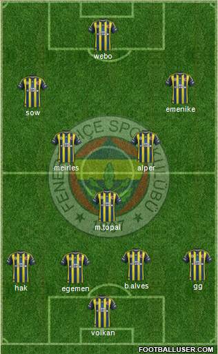 Fenerbahçe SK Formation 2013