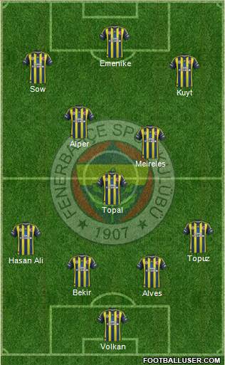 Fenerbahçe SK Formation 2013