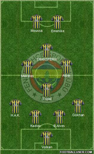 Fenerbahçe SK Formation 2013