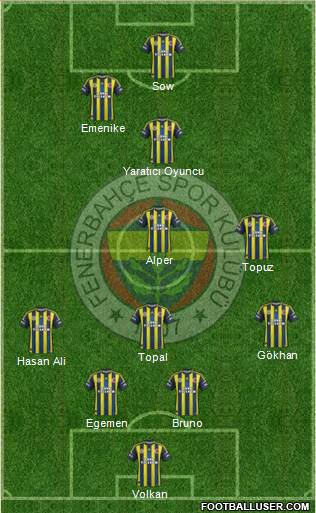 Fenerbahçe SK Formation 2013