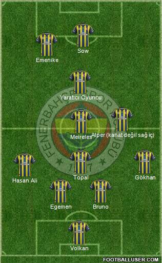 Fenerbahçe SK Formation 2013