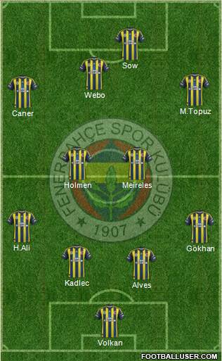 Fenerbahçe SK Formation 2013