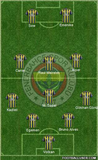 Fenerbahçe SK Formation 2013