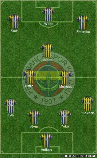 Fenerbahçe SK Formation 2013