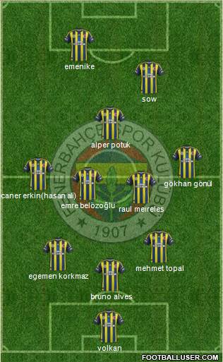 Fenerbahçe SK Formation 2013