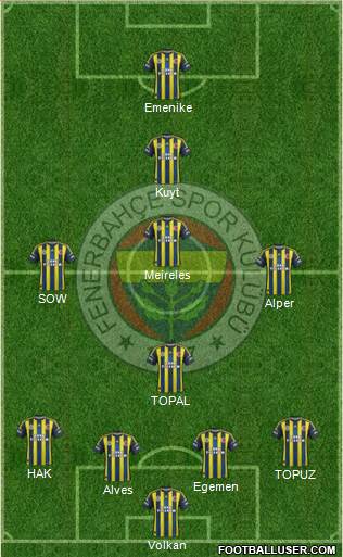 Fenerbahçe SK Formation 2013