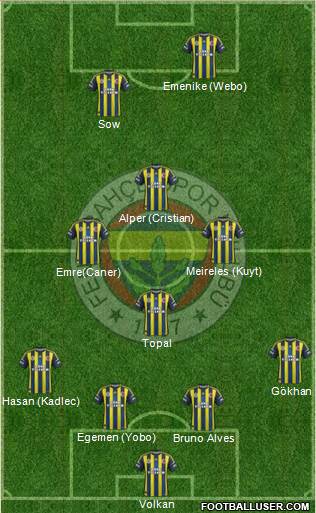 Fenerbahçe SK Formation 2013