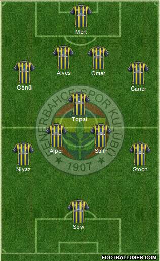 Fenerbahçe SK Formation 2013