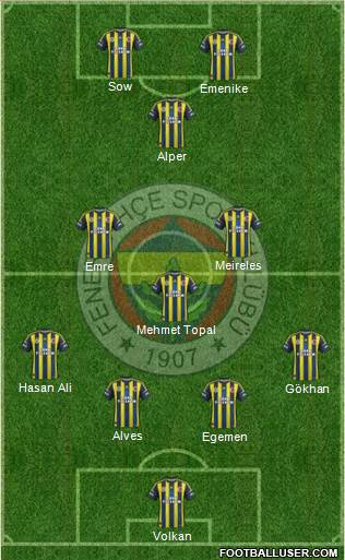 Fenerbahçe SK Formation 2013