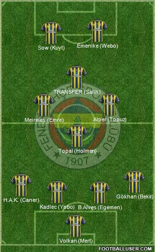 Fenerbahçe SK Formation 2013