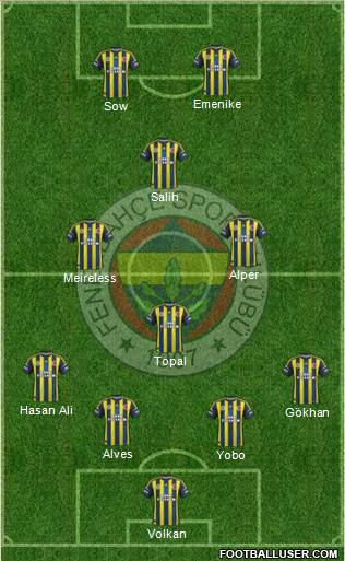 Fenerbahçe SK Formation 2013