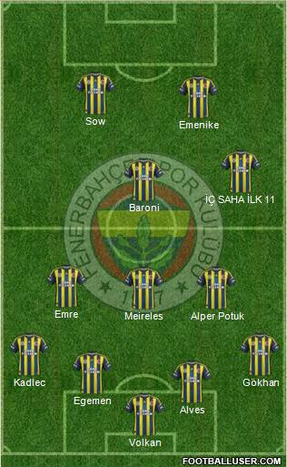 Fenerbahçe SK Formation 2013