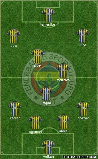 Fenerbahçe SK Formation 2013