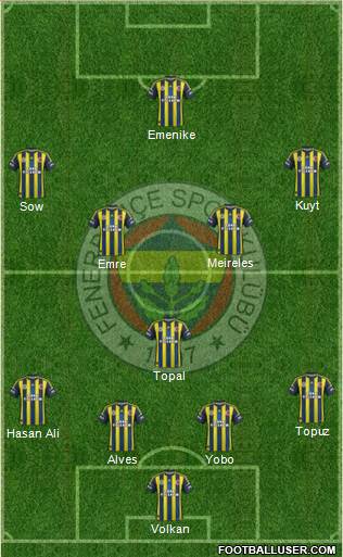 Fenerbahçe SK Formation 2013