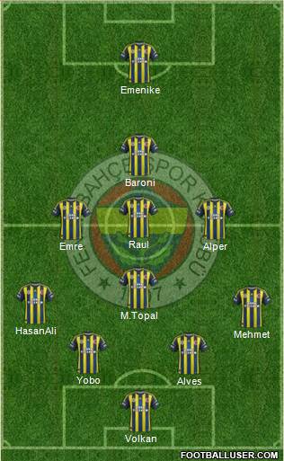 Fenerbahçe SK Formation 2013