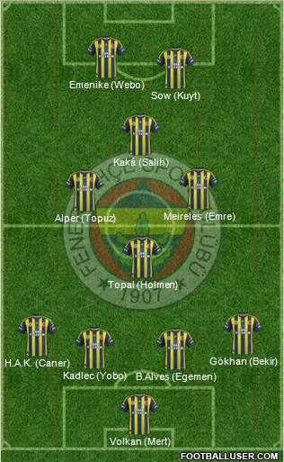 Fenerbahçe SK Formation 2013