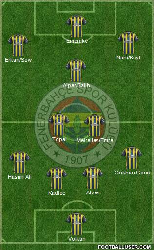 Fenerbahçe SK Formation 2013