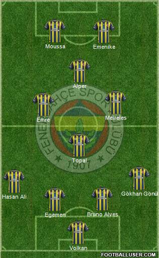 Fenerbahçe SK Formation 2013