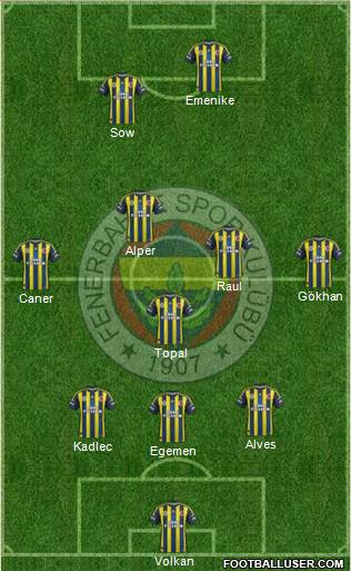 Fenerbahçe SK Formation 2013