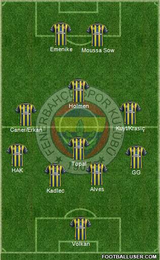 Fenerbahçe SK Formation 2013