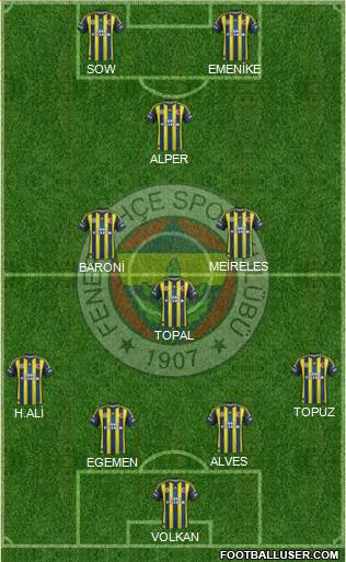 Fenerbahçe SK Formation 2013